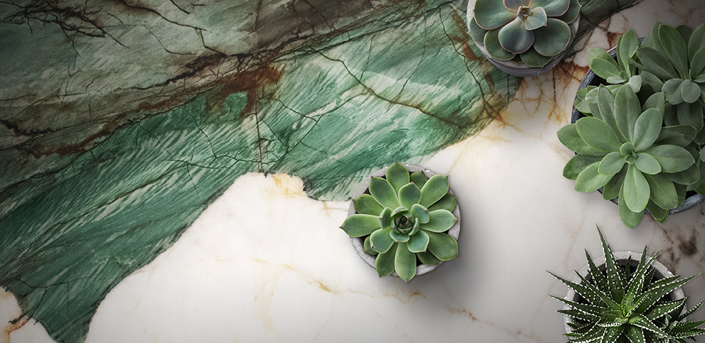 close up worktop image of botanic wave quartzite