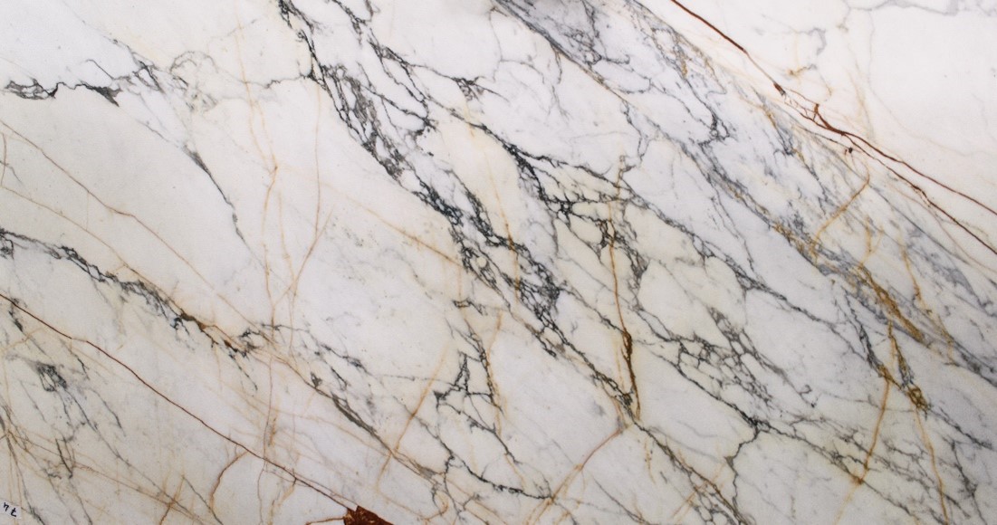 close up of calacatta paonazzo slab